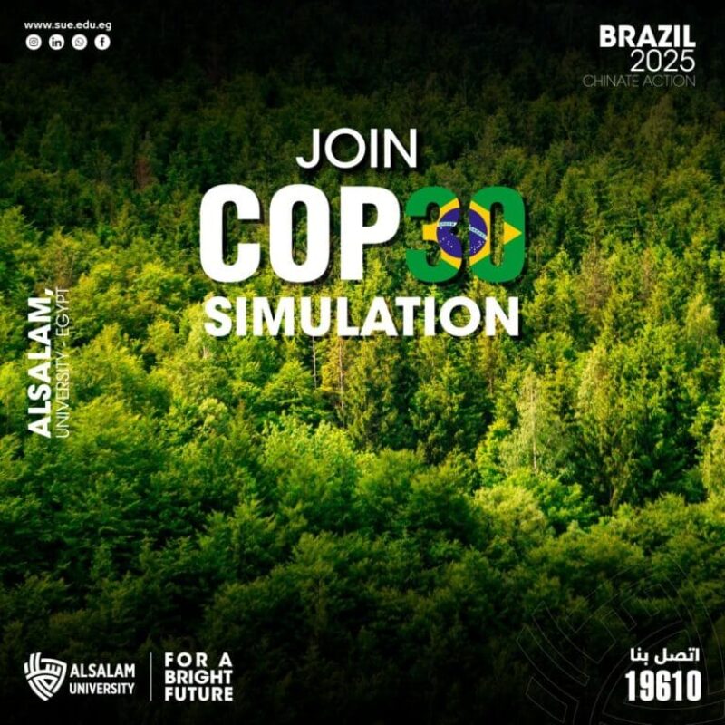 Join COP30 Simulation