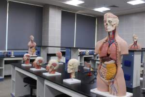 Physiology & Biomedical Laboratory