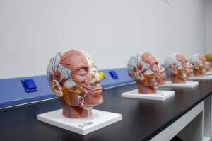 Physiology & Biomedical Laboratory