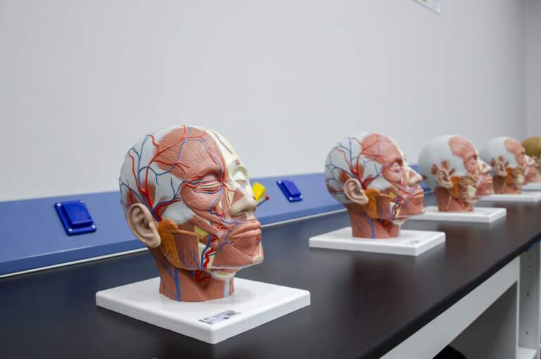 Physiology & Biomedical Laboratory