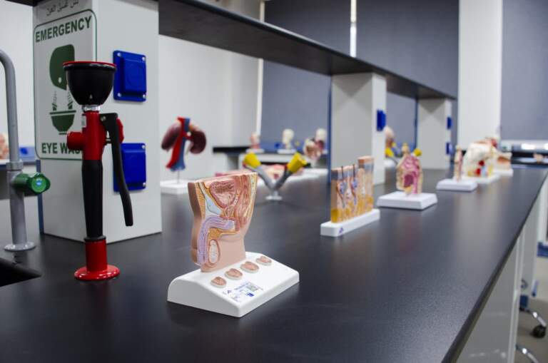 Physiology & Biomedical Laboratory