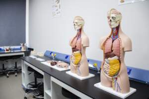 Physiology & Biomedical Laboratory
