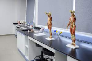 Physiology & Biomedical Laboratory
