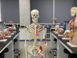Physiology & Biomedical Laboratory